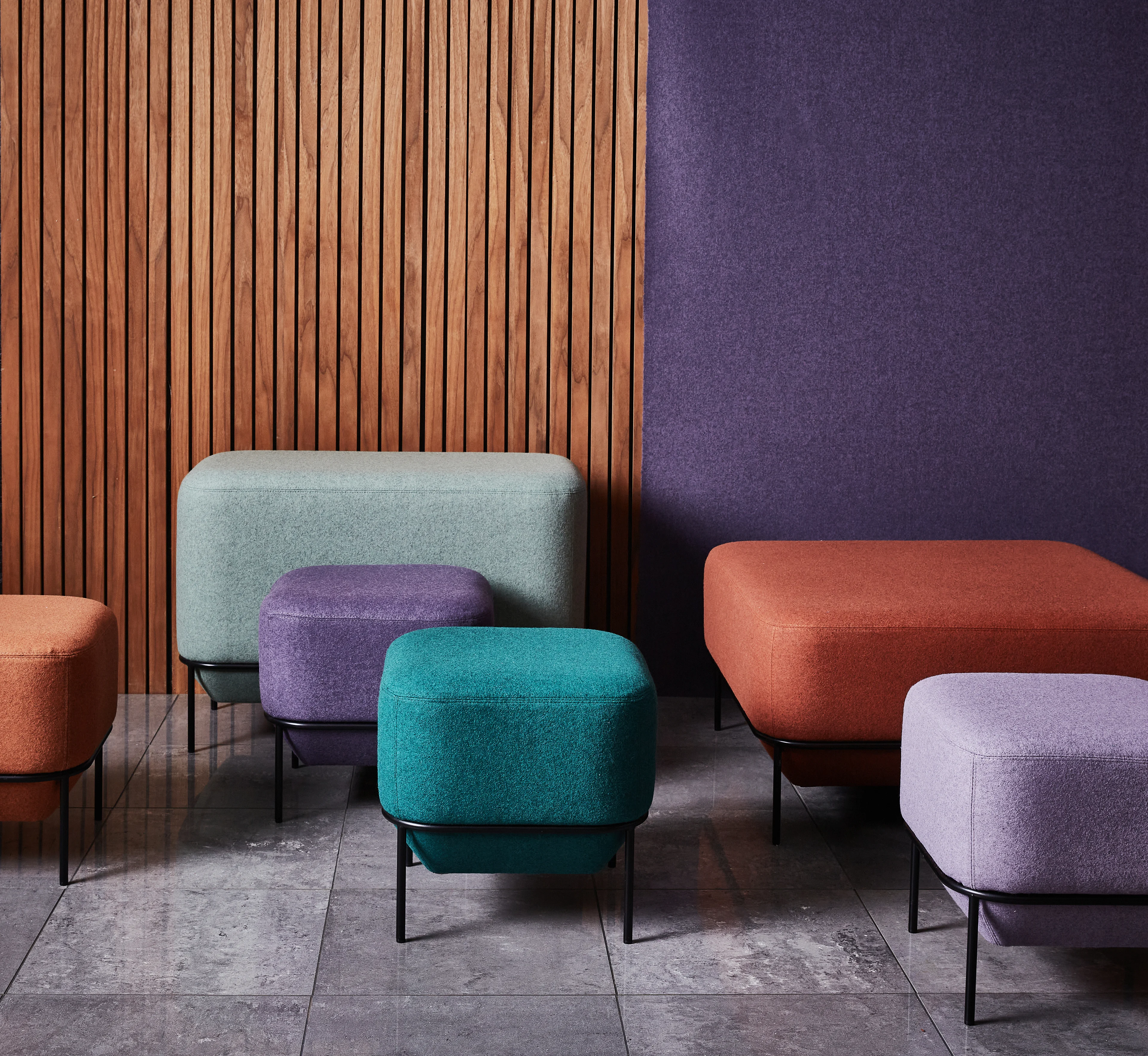 Camira Group, Inc. image 5