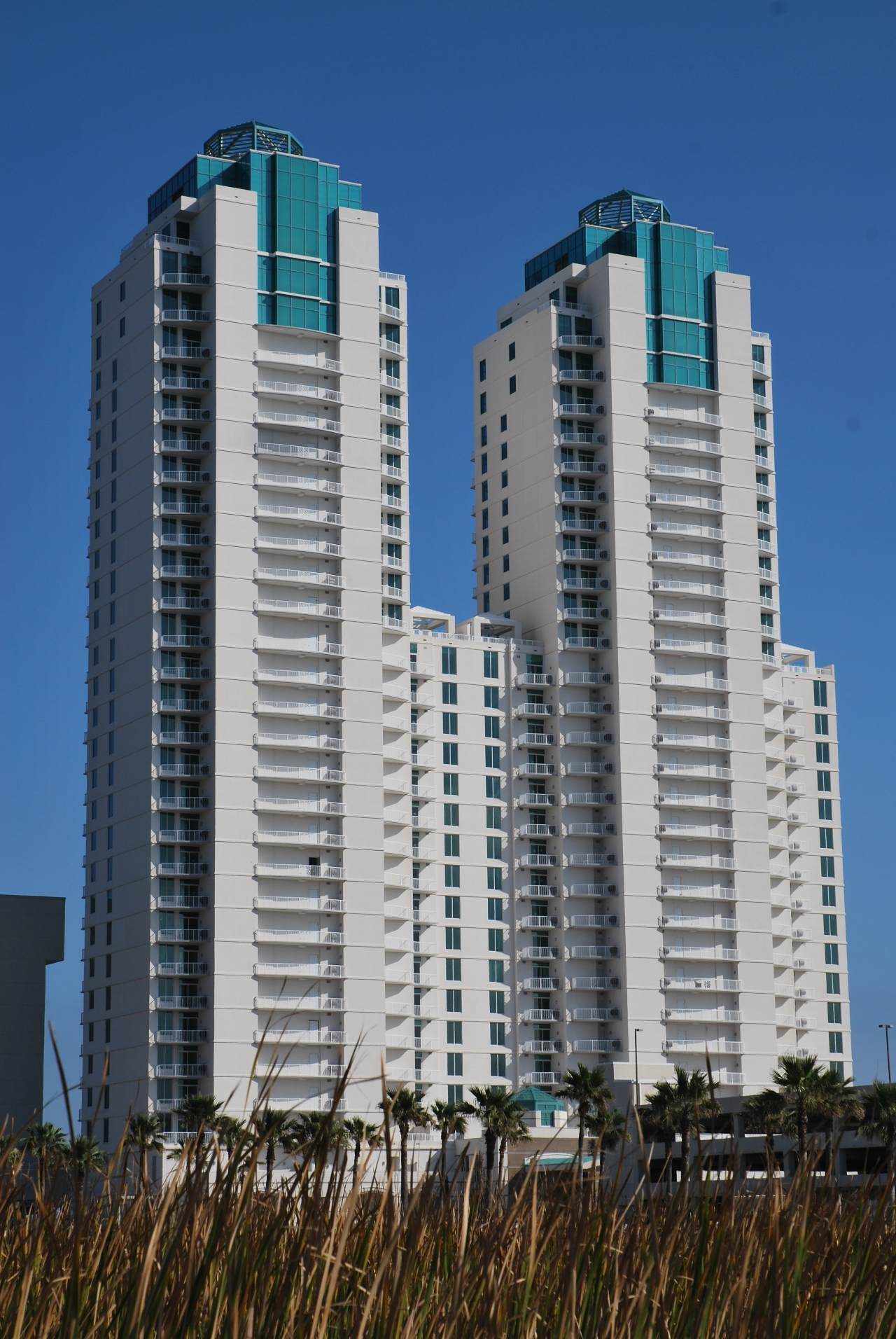 Corev America Inc. image 2