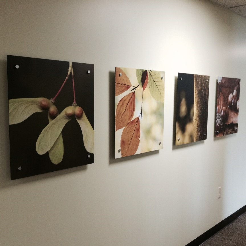 Olee Creative image 16