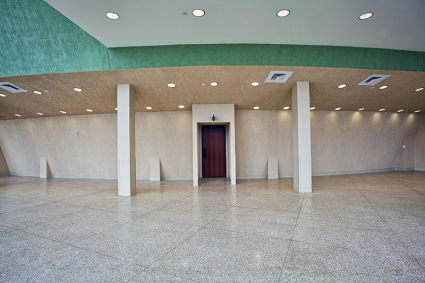 Tobias Green Interior Wall Finishes image 6