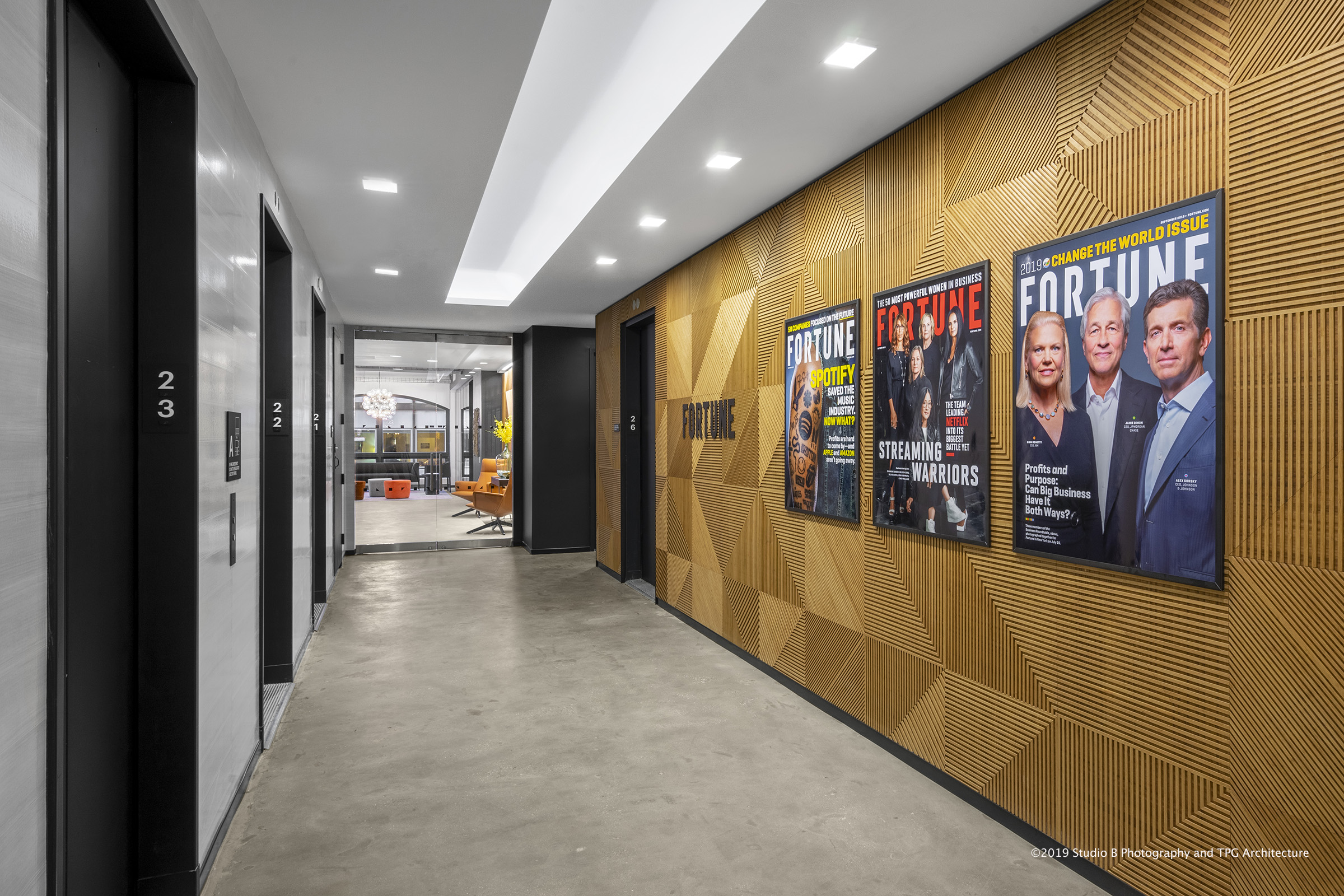 Plyboo | Smith & Fong image 3