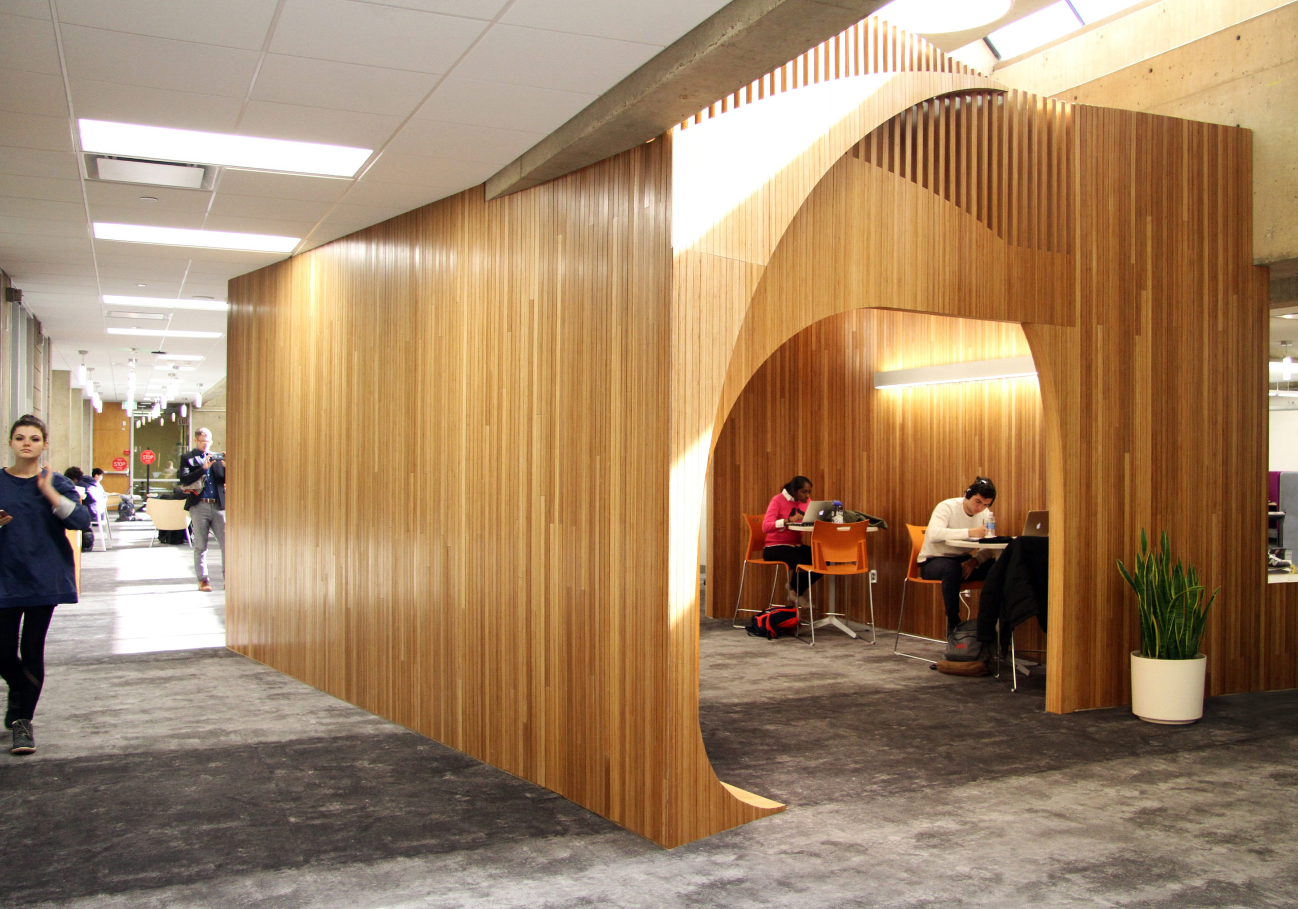 Plyboo | Smith & Fong image 1