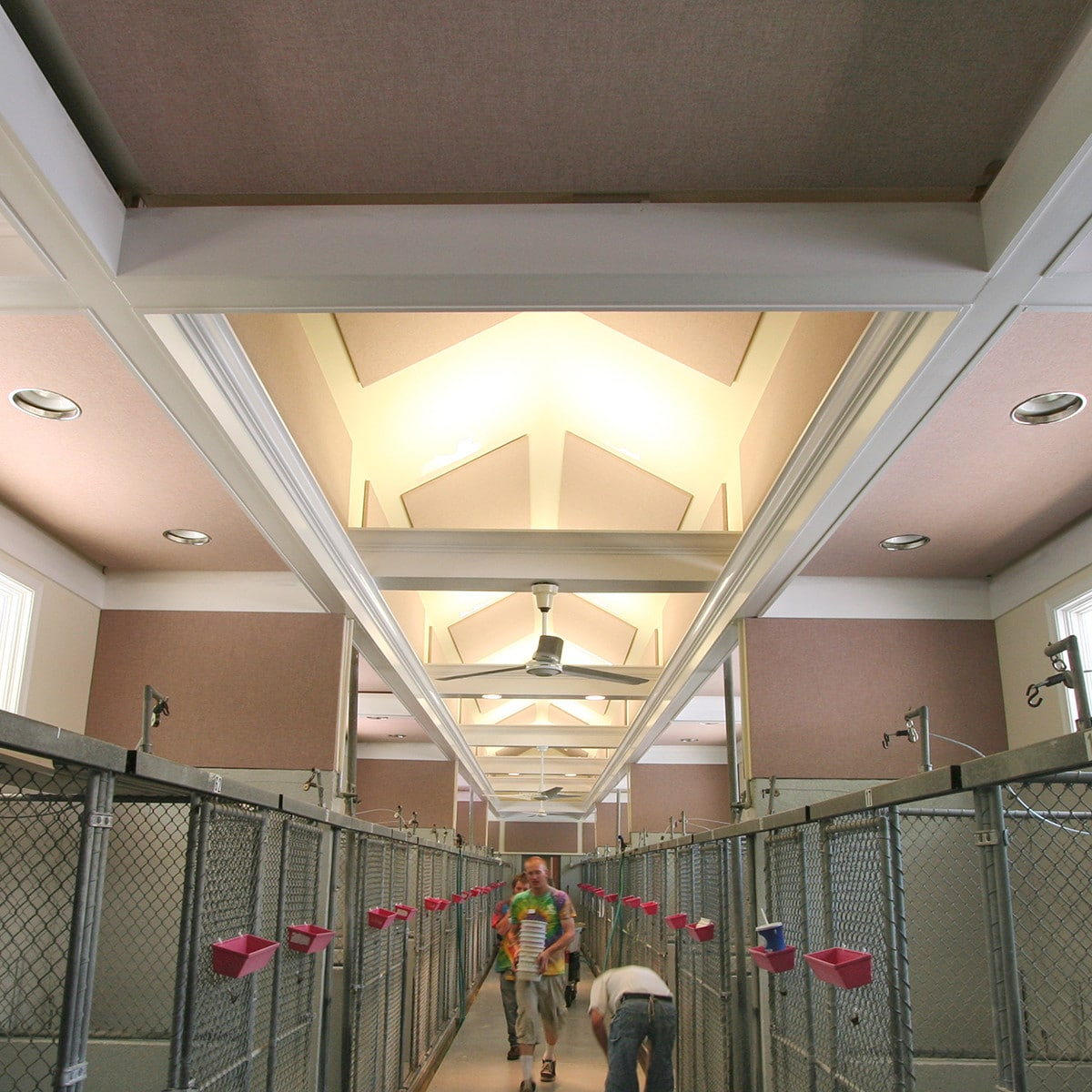 Acoustical Solutions image 11