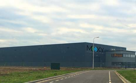 Moxy OID image 8