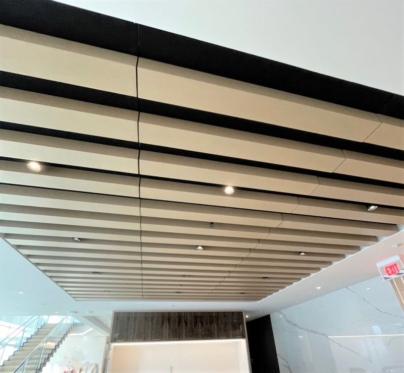 Sky Acoustics image 6