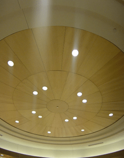 Accent Ceilings and Walls image 11