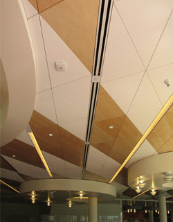Accent Ceilings and Walls image 16