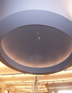 Accent Ceilings and Walls image 12