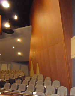 Accent Ceilings and Walls image 10