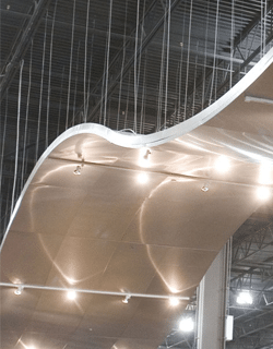 Accent Ceilings and Walls image 6