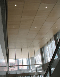 Accent Ceilings and Walls image 14