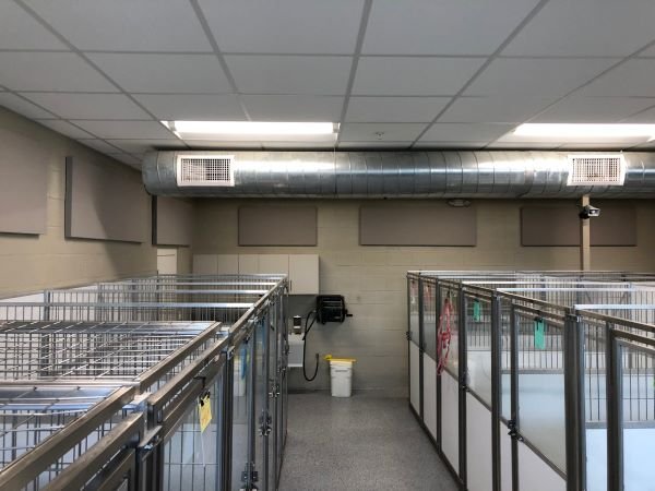 Commercial Acoustics image 5