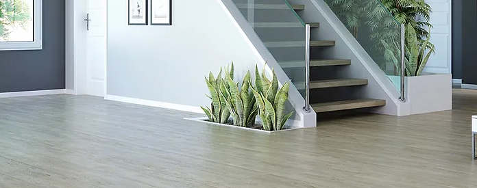Republic Floor image 16
