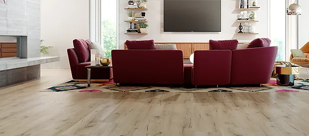 Republic Floor image 2