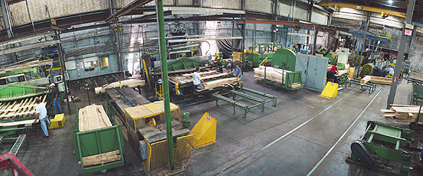 Freeman Corporation (The) image 15