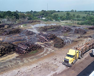 Freeman Corporation (The) image 5