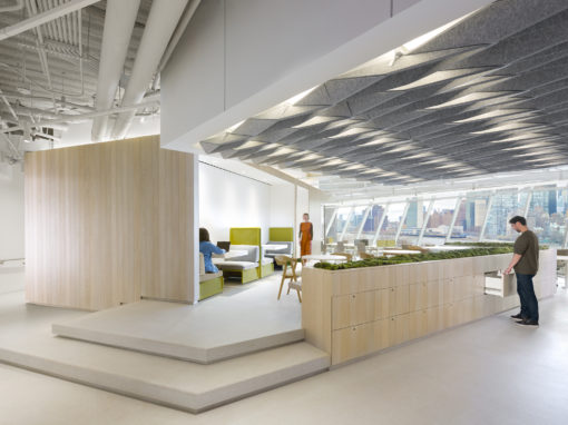 Zandur, Inc. image 8
