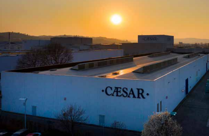 Caesar Ceramics USA image 10