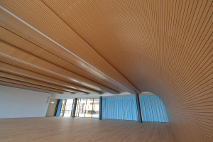 Topakustik image 20