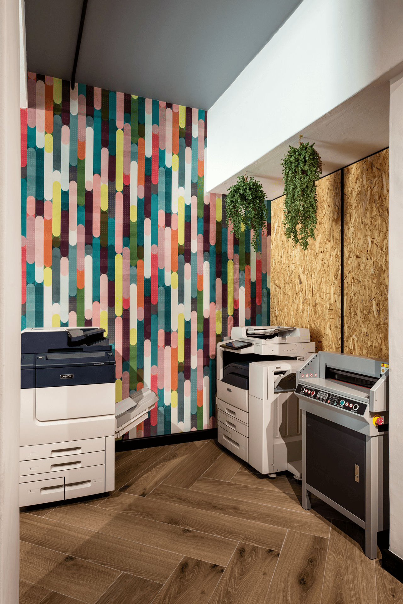 Cara Saven Wall Design image 10