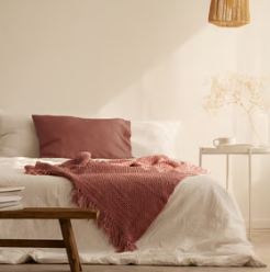 California Paints image 18