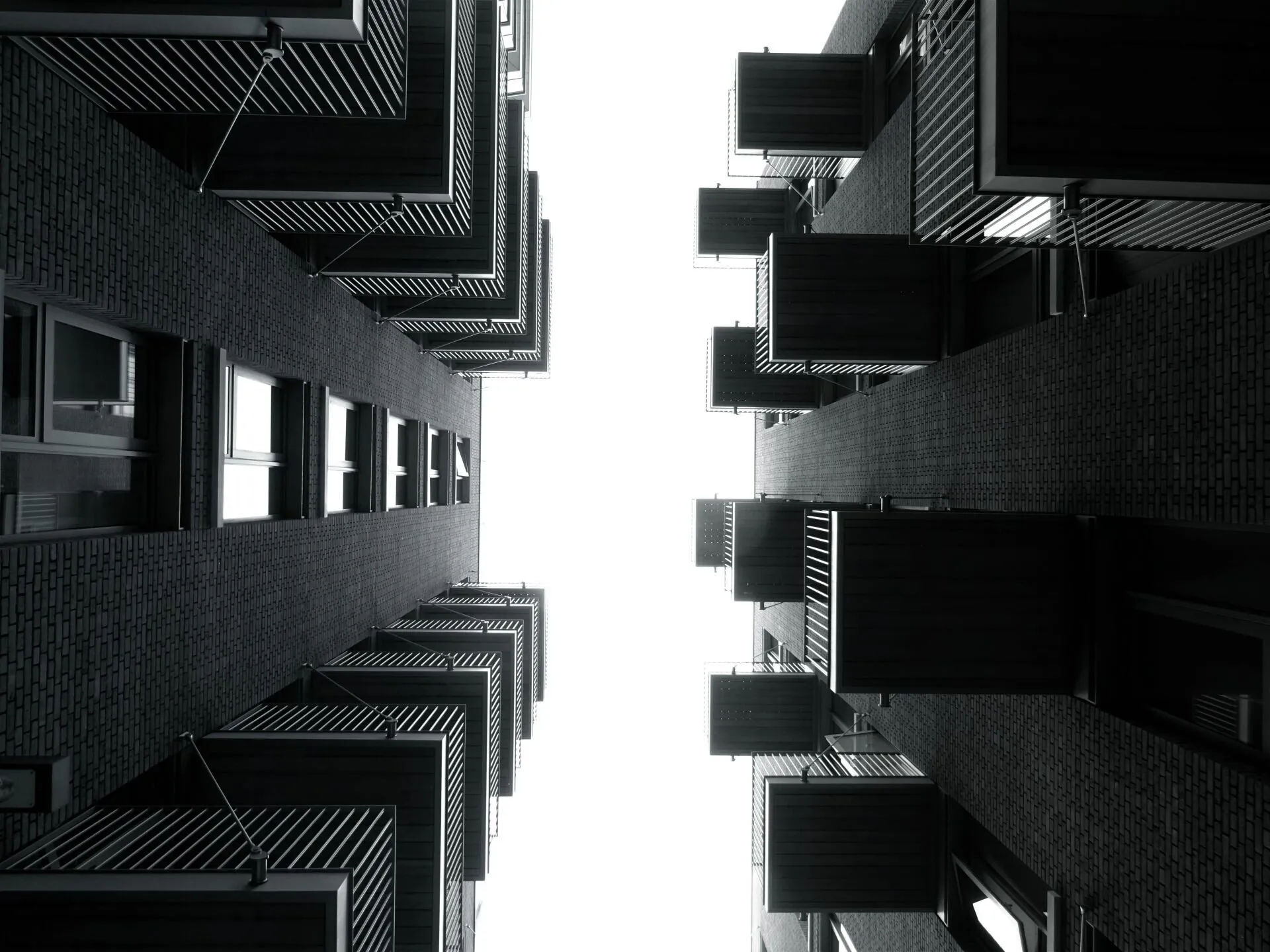 Elbex Corp. image 13