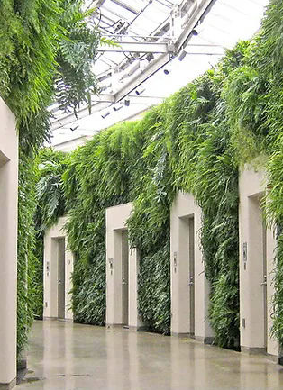 GSky Plant Systems image 10