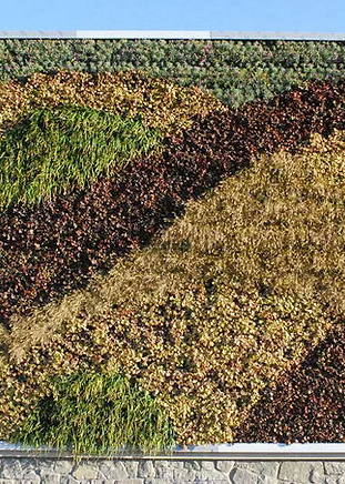 GSky Plant Systems image 21