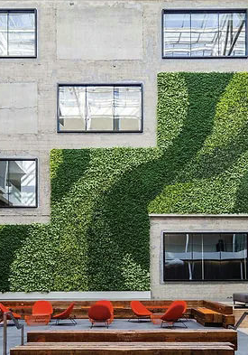 GSky Plant Systems image 4