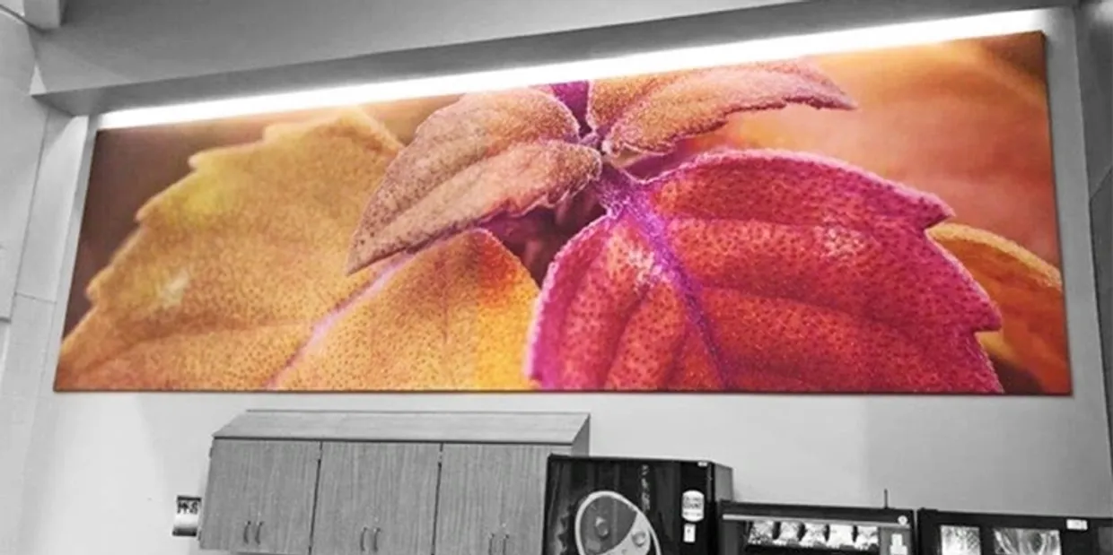 Essi Acoustical Products image 3