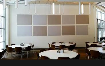Essi Acoustical Products image 7