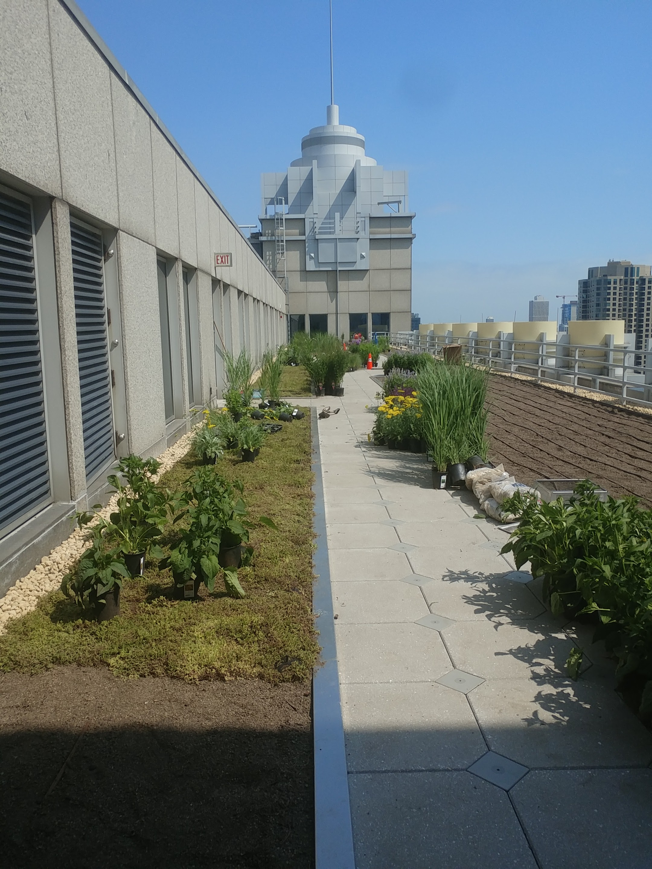Green Roof Solutions image 5