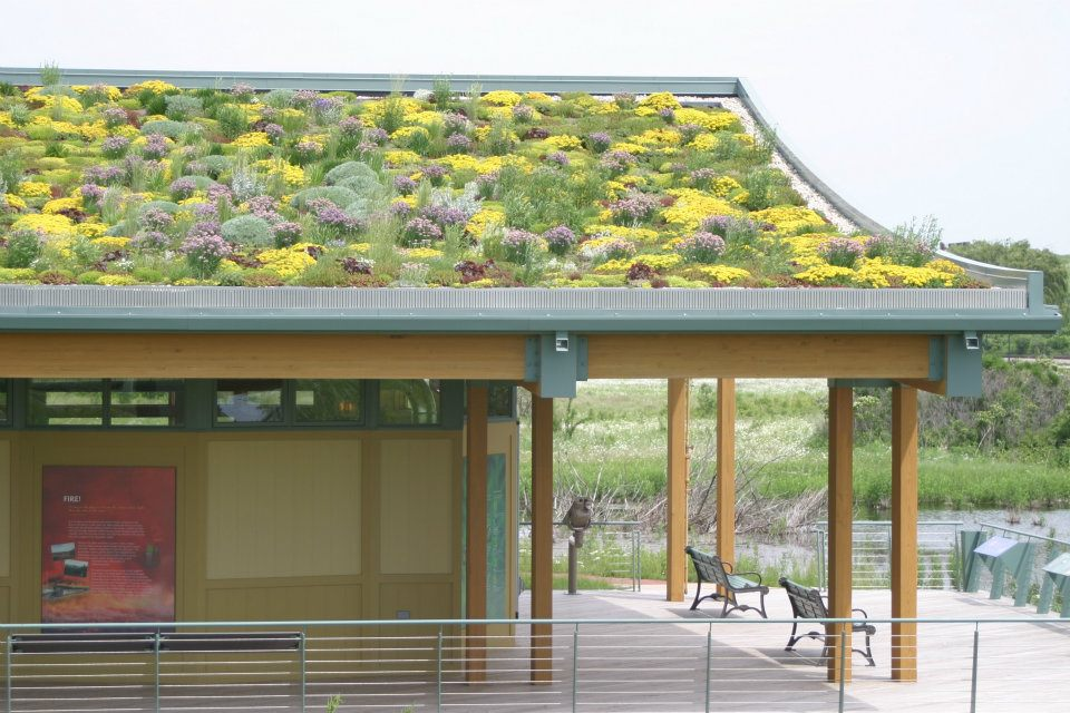 Green Roof Solutions image 3