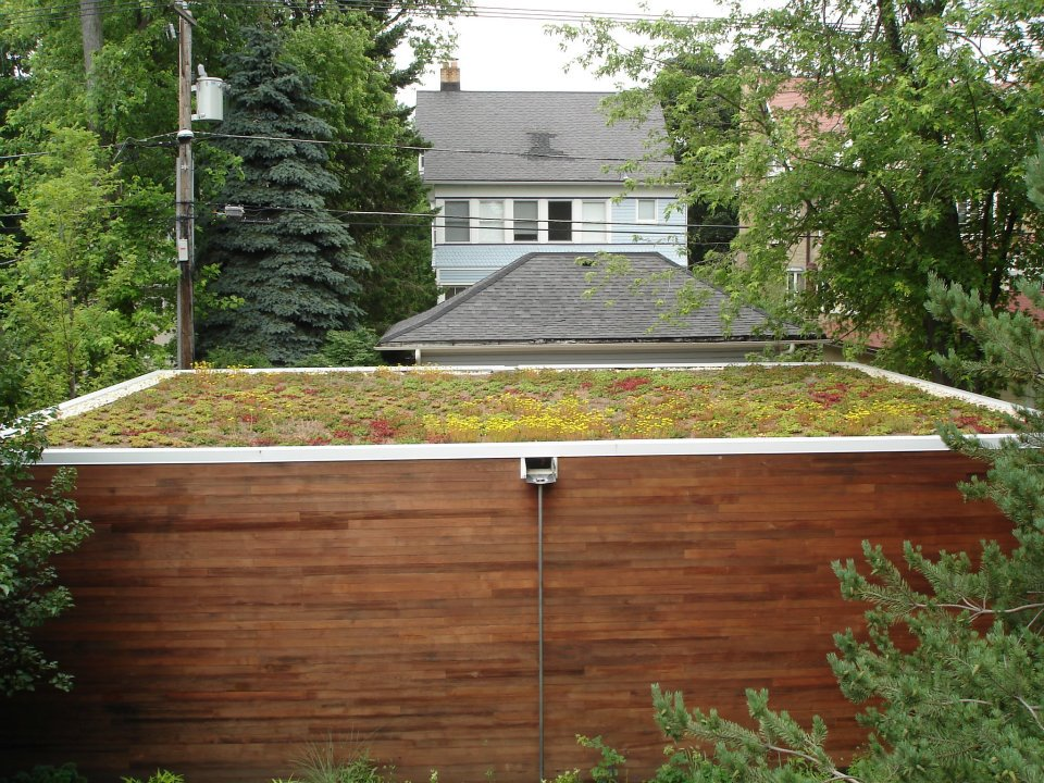 Green Roof Solutions image 2