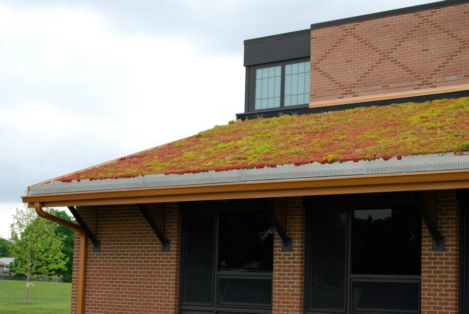 Green Roof Solutions image 1