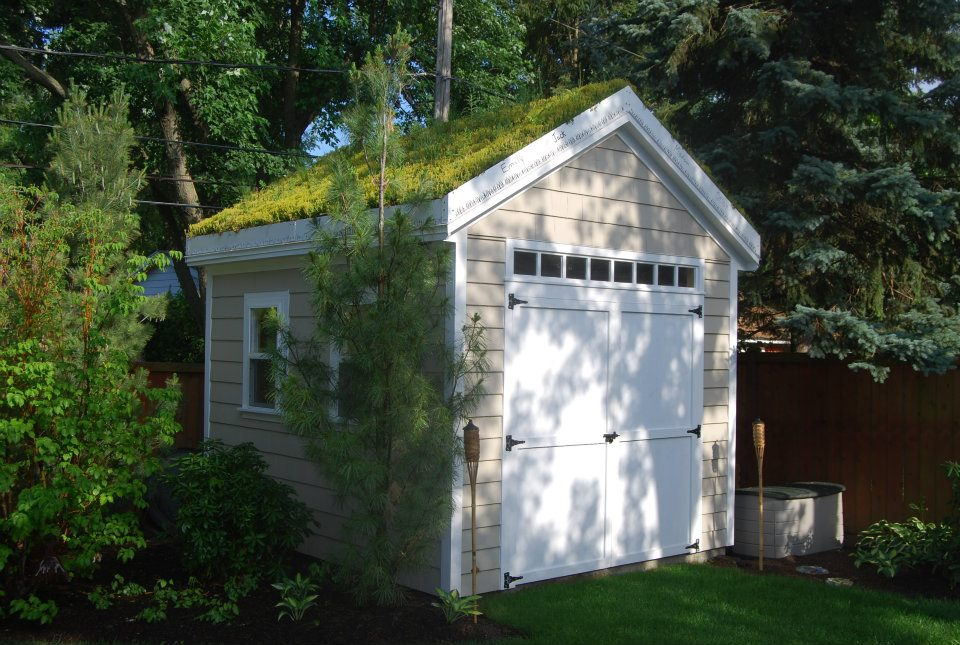Green Roof Solutions image 4