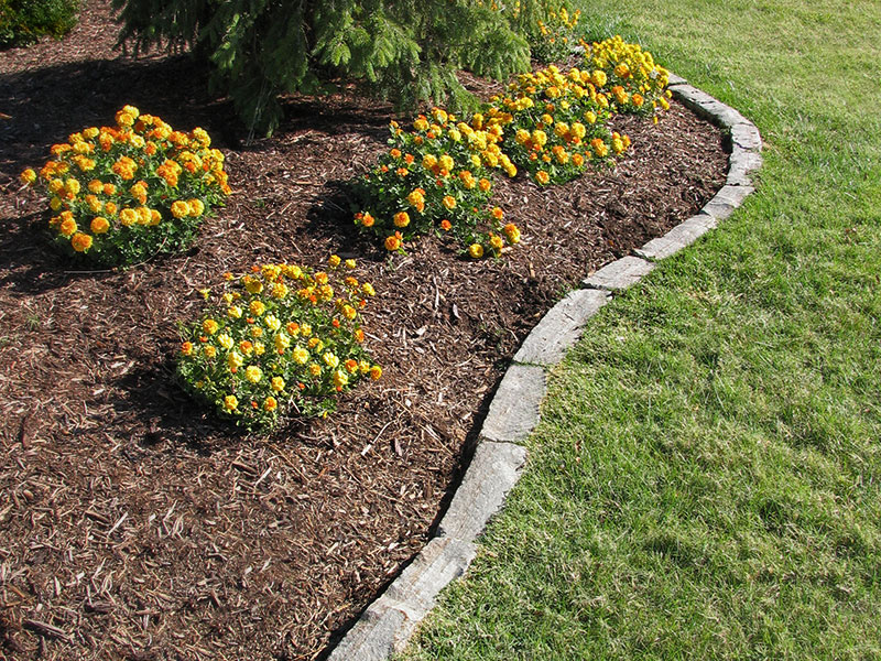 Semco Stone image 4