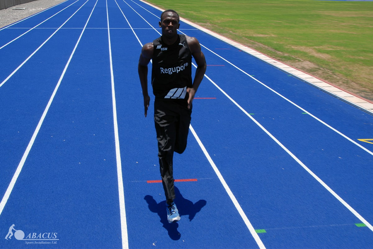 Abacus Sports Installations, Ltd. image 2