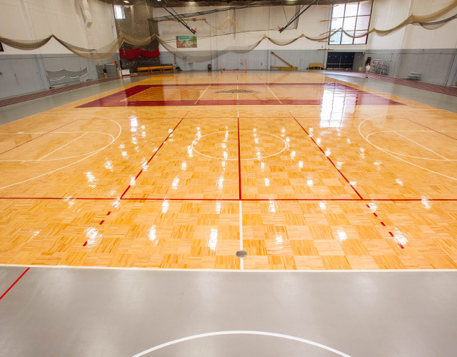 Action Floor Systems, LLC image 1
