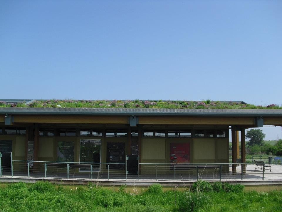 Urban Farming Solutions