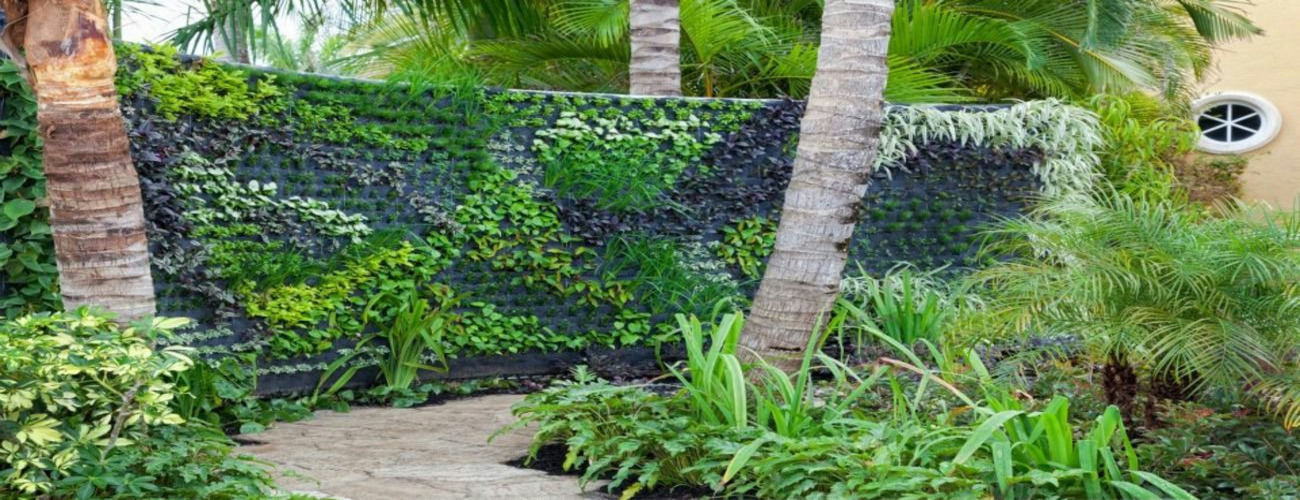 Green Roof Solutions