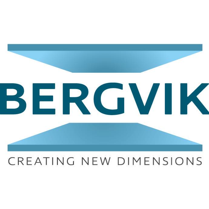 Bergvik North America, Inc. logo