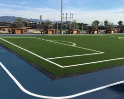 Safepath Products by Van Duerr Industries image 3