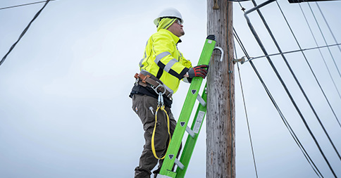 Werner Ladder Co. image 3