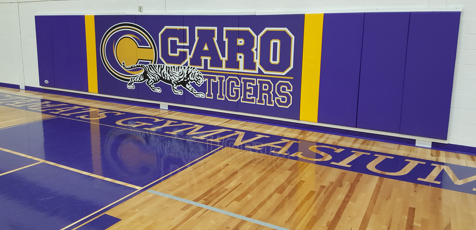 Gym Cove image 8