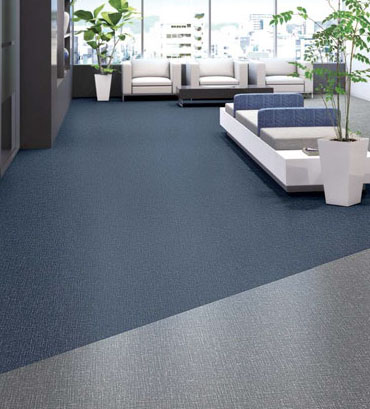 Toli International image 20