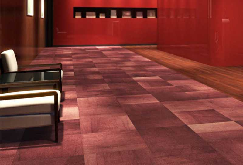Toli International image 17