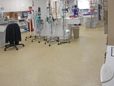 Everlast Epoxy Systems, Inc. image 2