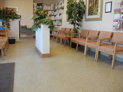 Everlast Epoxy Systems, Inc. image 8