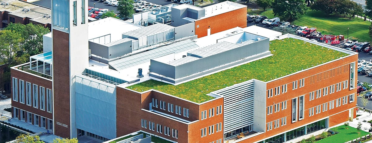 Greenrise Technologies